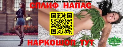 ПСИЛОЦИБИНОВЫЕ ГРИБЫ Балахна