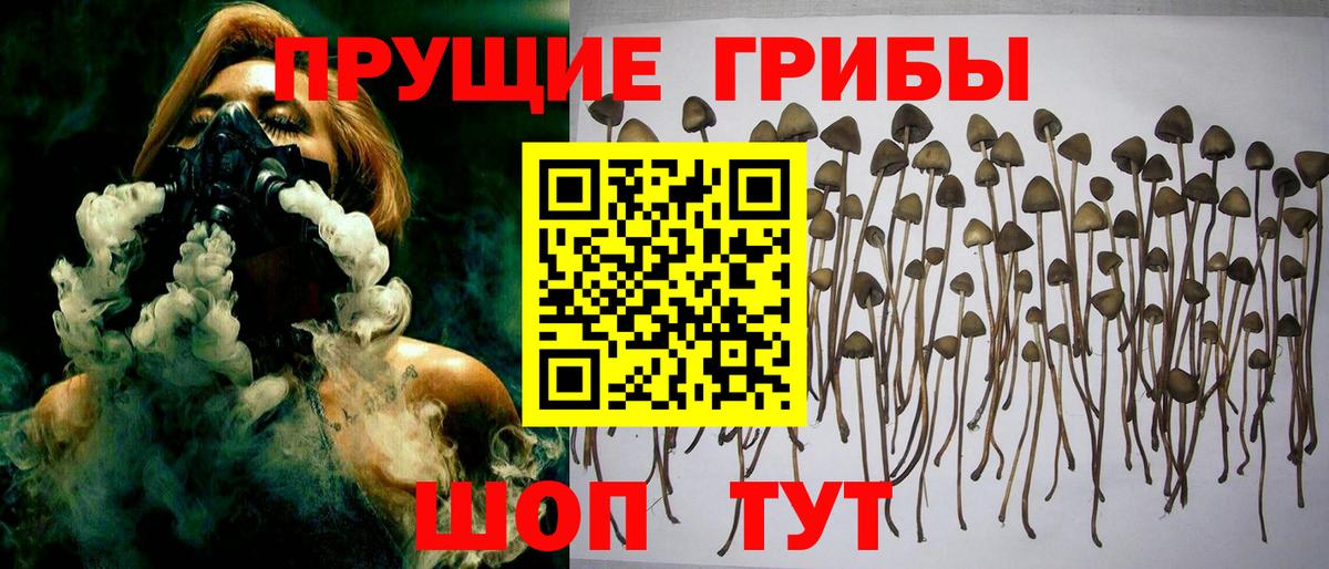 Псилоцибиновые грибы мухоморы Ейск